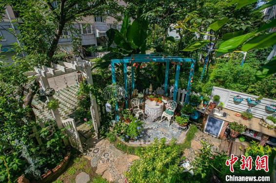 宁波57岁“姐姐”3年打造梦幻花园：我要把日子过成诗