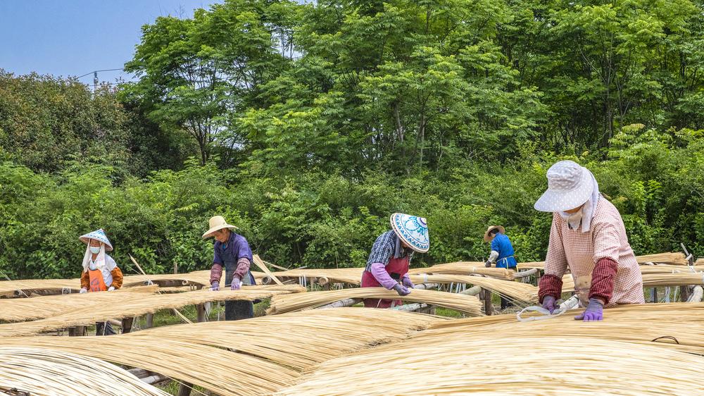 安徽芜湖：毛竹加工助增收