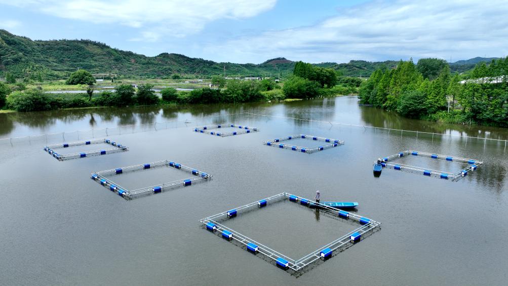 浙江德清淡水珍珠複合養殖系統正式被認定為全球重要農業文化遺産