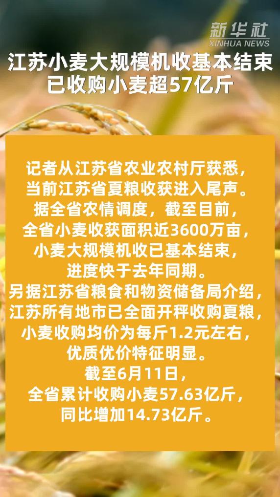 江苏小麦大规模机收基本结束 已收购小麦超57亿斤