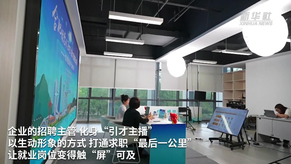 合肥：“云端+线下” 双轮驱动助力稳就业