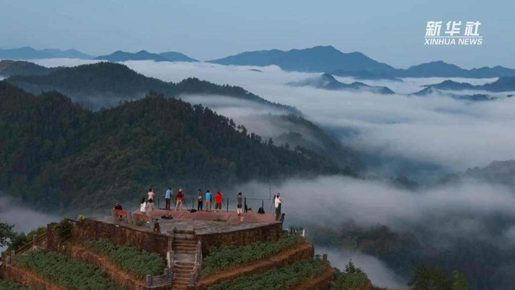 安徽歙县：花海遇云海  黛色山峦如水墨画卷