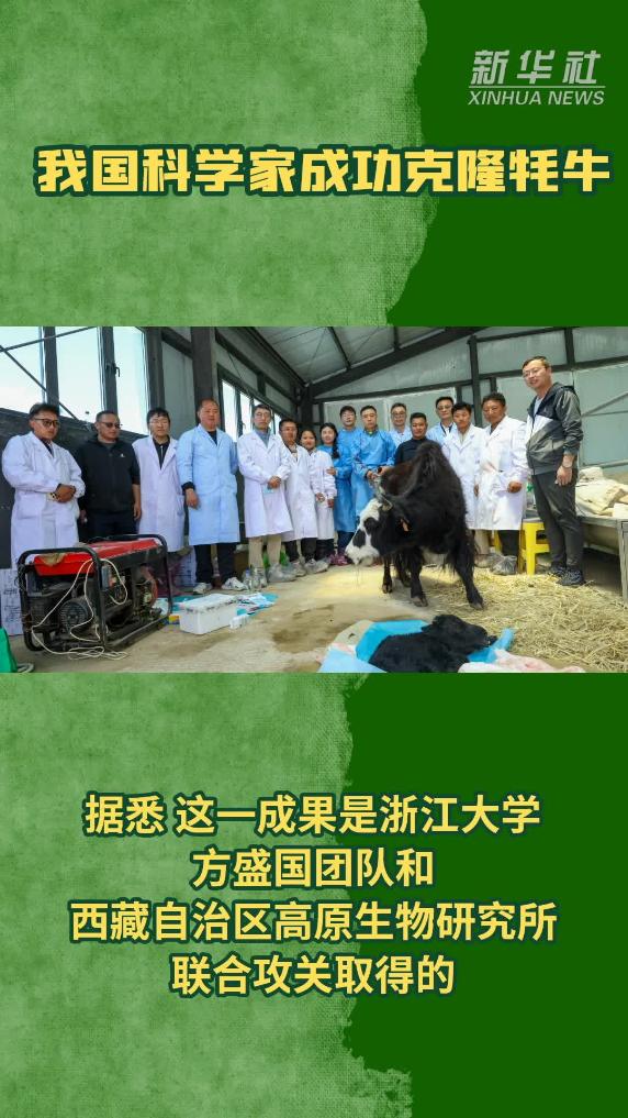 我国科学家成功克隆牦牛