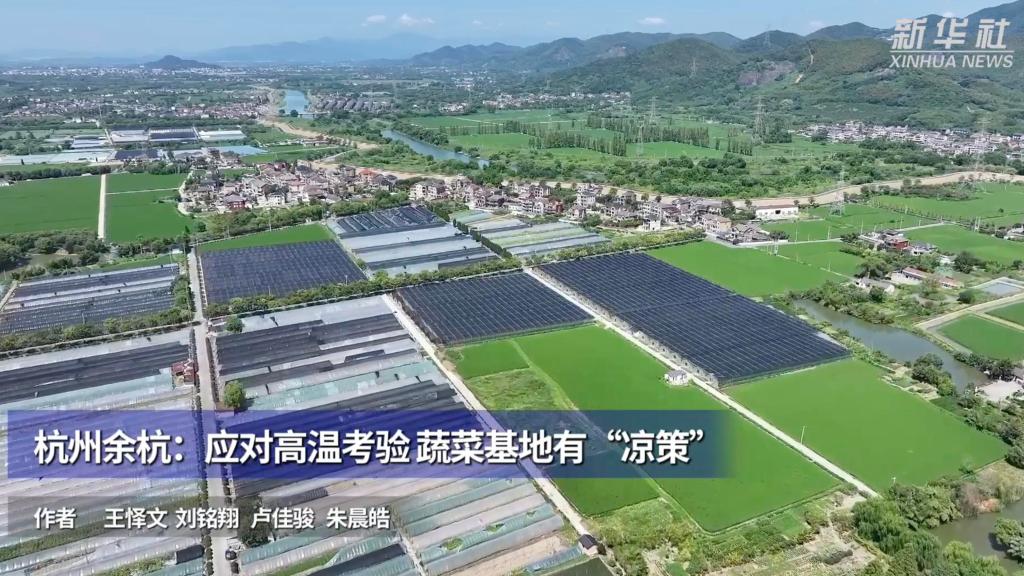 杭州余杭：应对高温考验 蔬菜基地有“凉策”