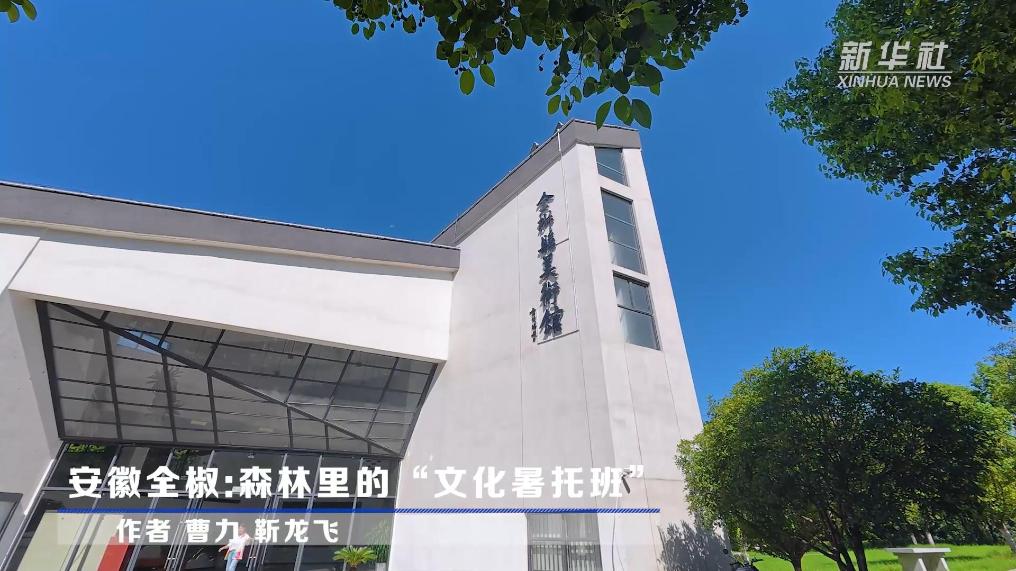 安徽全椒：森林里的“文化暑托班”