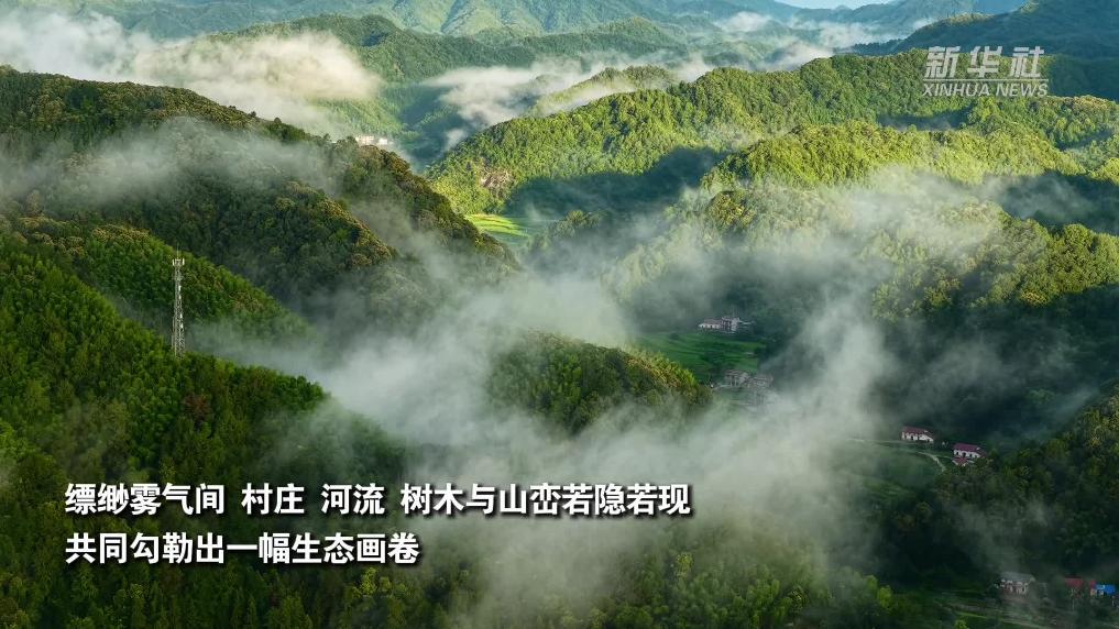 安徽石台：晨雾漫村郭 山水入画来