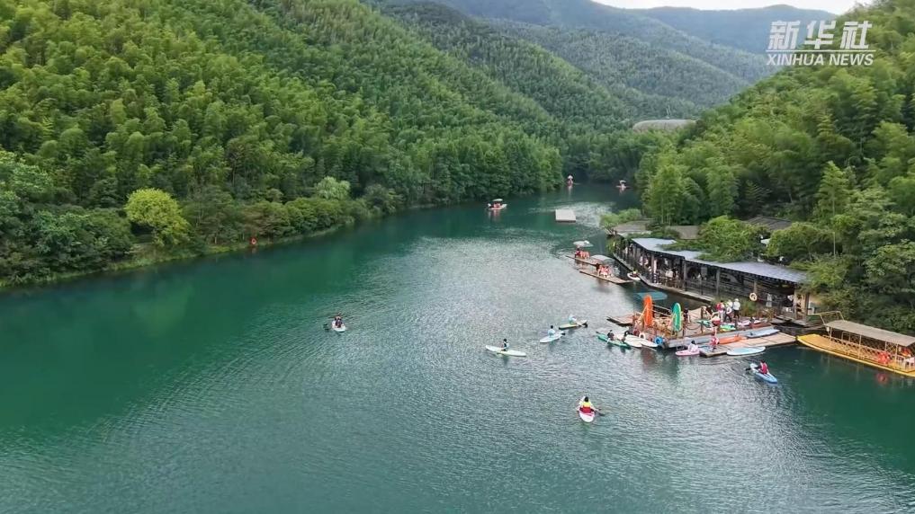 江苏溧阳：景区发现“水中大熊猫”桃花水母