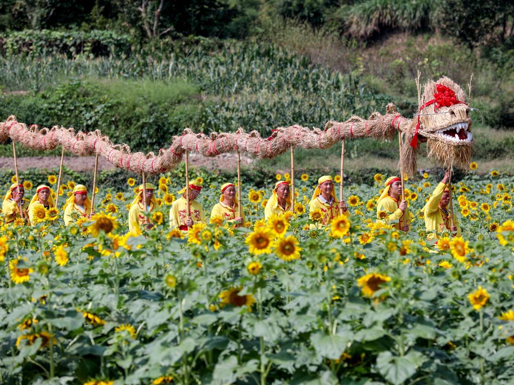 乡间“舞草龙”——古巷深处祈丰年
