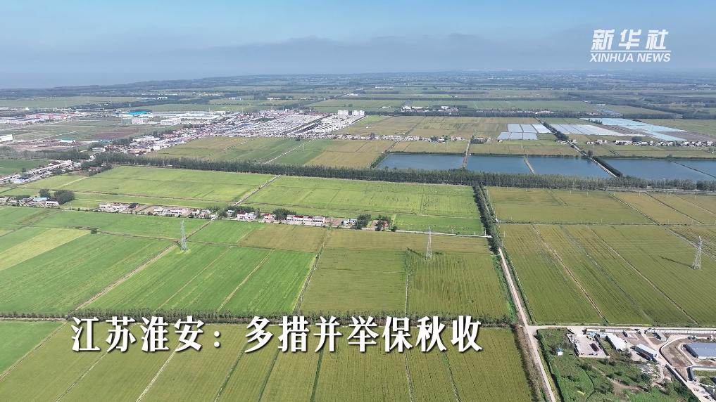 江苏淮安：多措并举保秋收