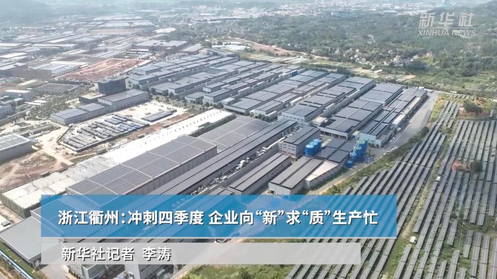 浙江衢州：冲刺四季度 企业向“新”求“质”生产忙