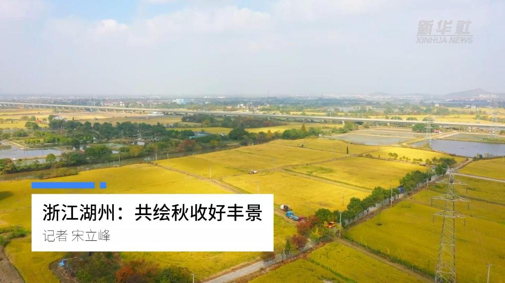 浙江湖州：共绘秋收好丰景