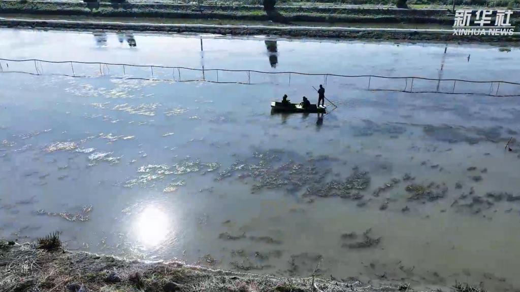 江苏金湖：蟹农刘宇的收获季