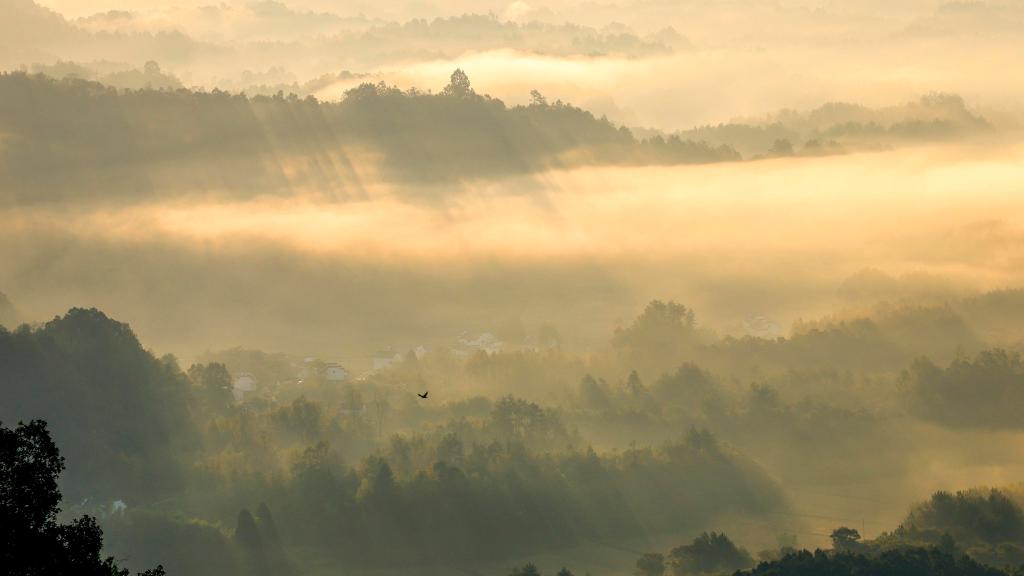 安徽休宁：齐云山晨雾如画