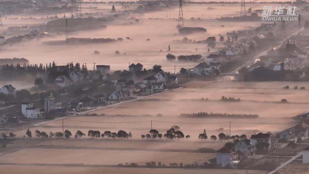 江苏如东：清晨云雾缭绕 绘就乡村诗意画卷
