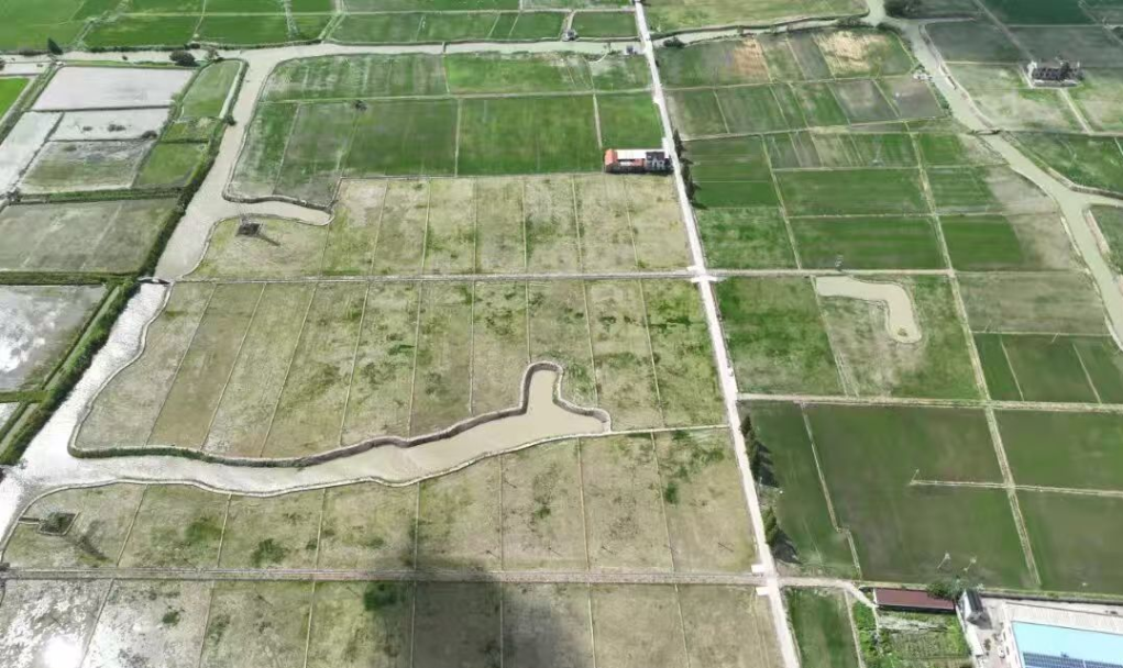 金融创新赋能 浙江生物多样性保护添新翼