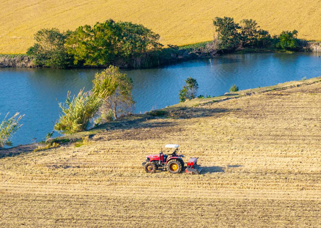全国冬小麦播种过九成