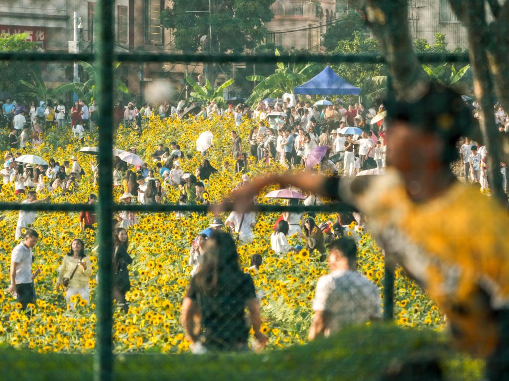 全运会｜闲记：歌颂收获 也歌颂耕耘