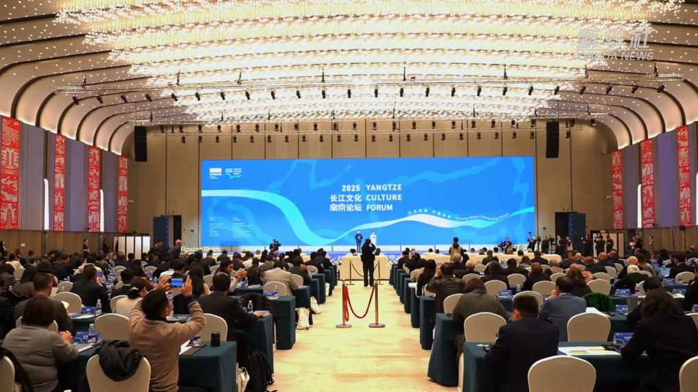 搭建全球大河文明对话平台 “2025长江文化南京论坛”举行