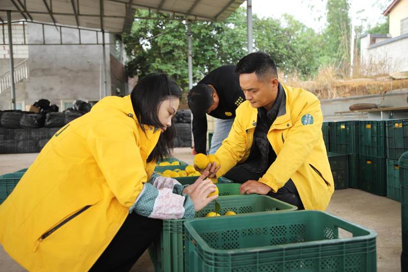 0ecf6809efee3f8699c11f8f45bc0b36