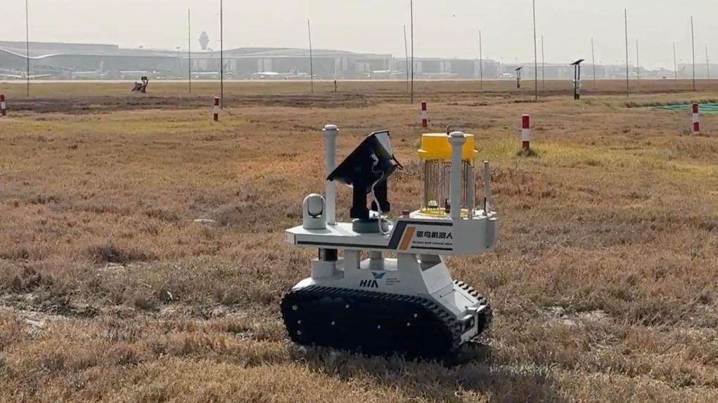 杭州机场启用智能驱鸟机器人