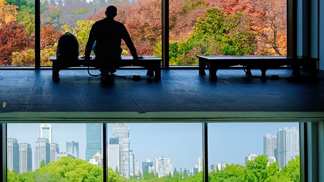 文旅新探|金陵如画卷，窗含古今色