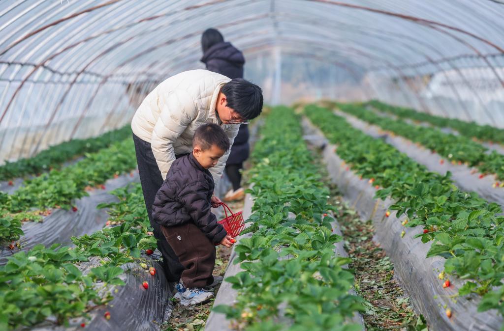 浙江长兴：发展特色农业助力乡村振兴
