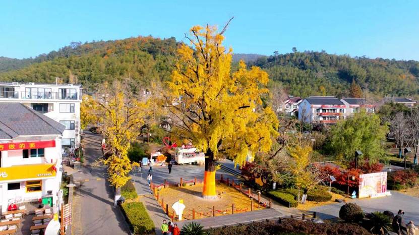 cd83d950534cf762cd597e99abc6740e