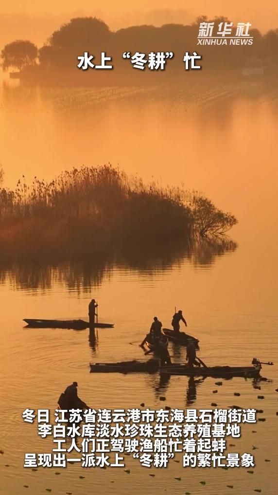 秀我中国｜水上“冬耕”忙