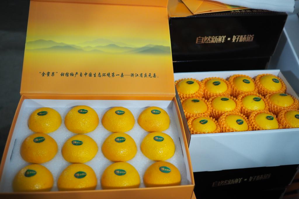 浙江庆元：甜桔柚迎来丰收季