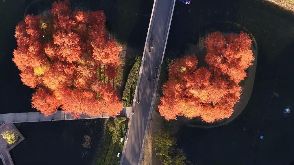 杭州临安：冬染吴越 一眼千年