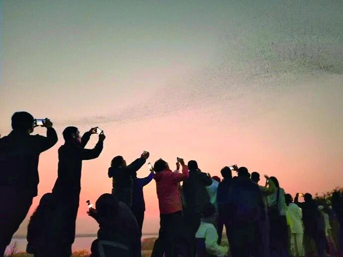 无人机贴鸟拍摄当禁!