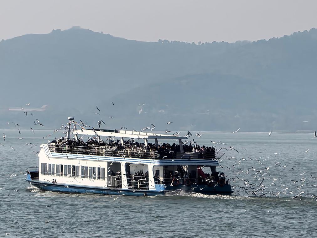 太湖无锡水域水质连续第二年保持Ⅲ类