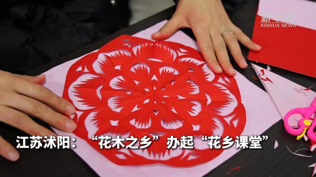 江苏沭阳:“花木之乡”办起“花乡课堂”