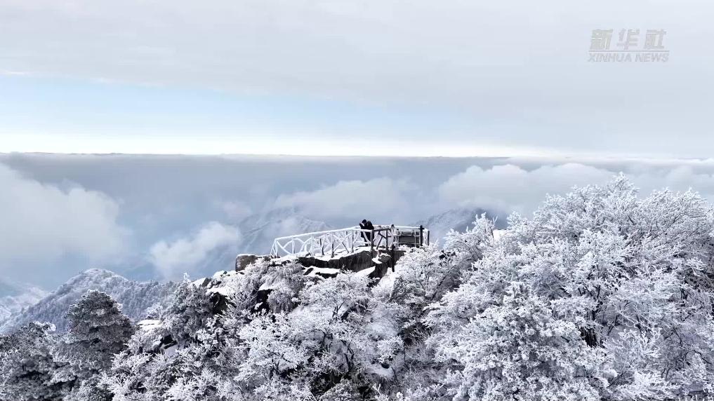 安徽九华山:银装盛景迎客来