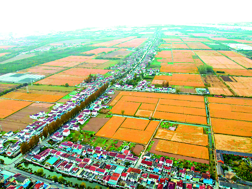 江苏南京栖霞长江村：告别“浆糊”江豚归