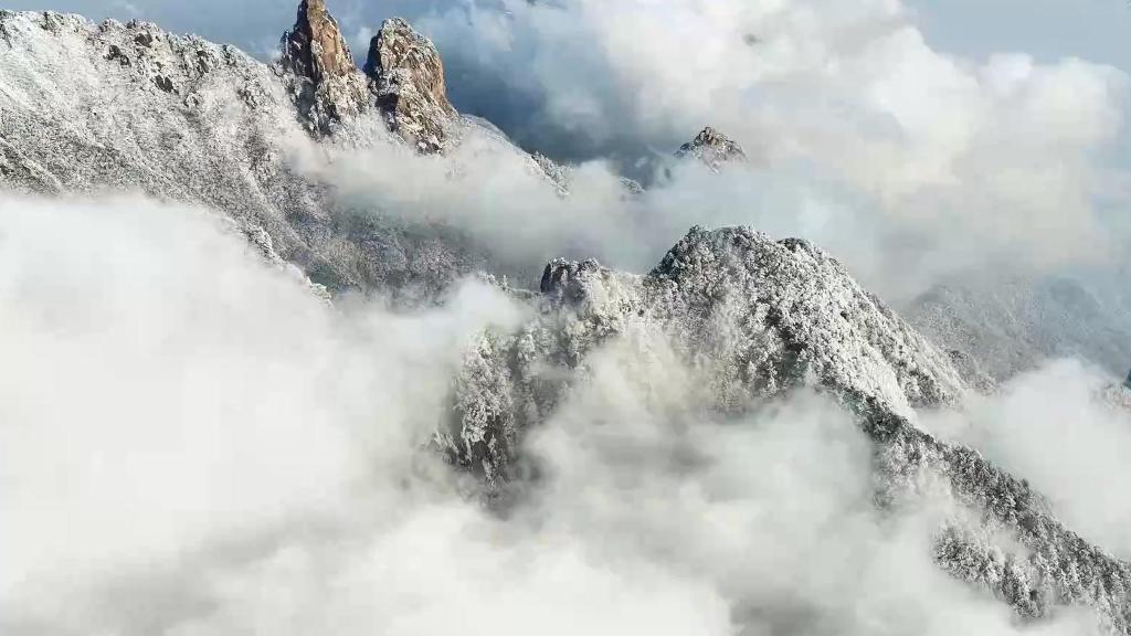 安徽九华山：春雪拂云海 玉树缀琼花