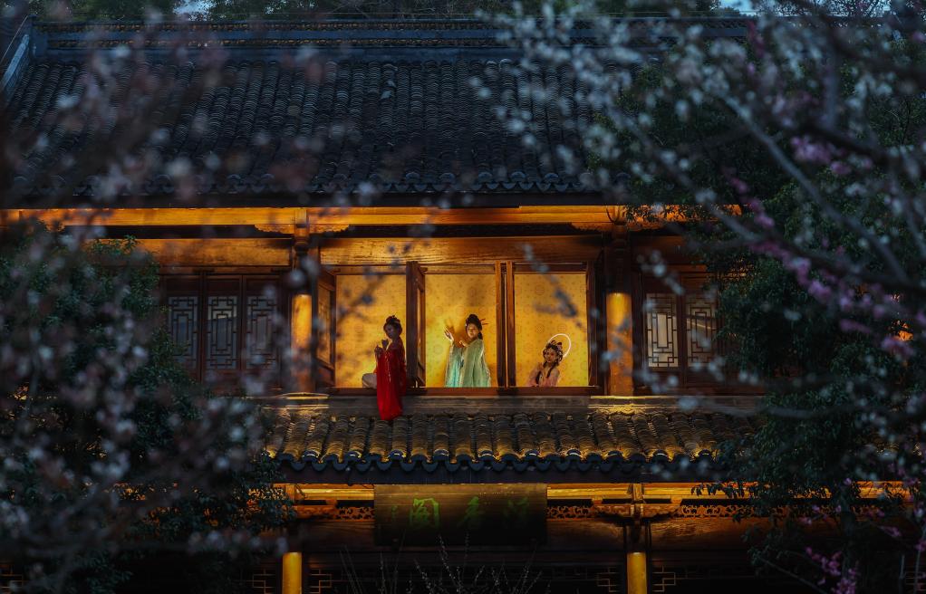杭州赏梅胜地开启特色夜游赏梅活动