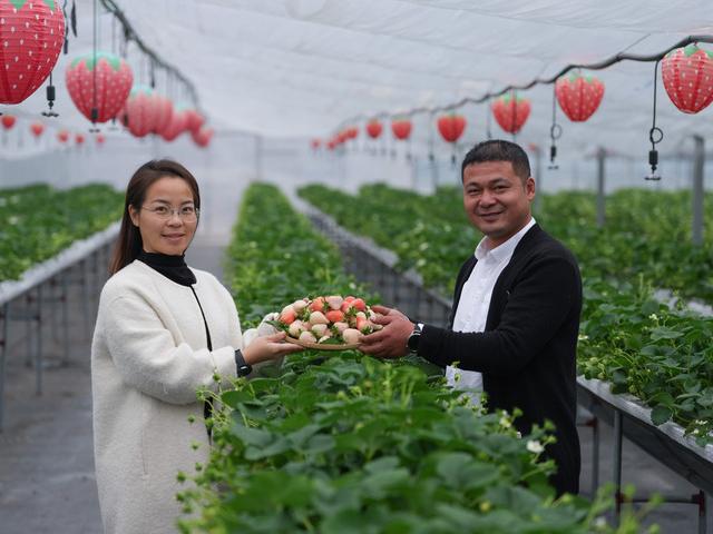 浙江奉化：让青年与乡村“双向奔赴”