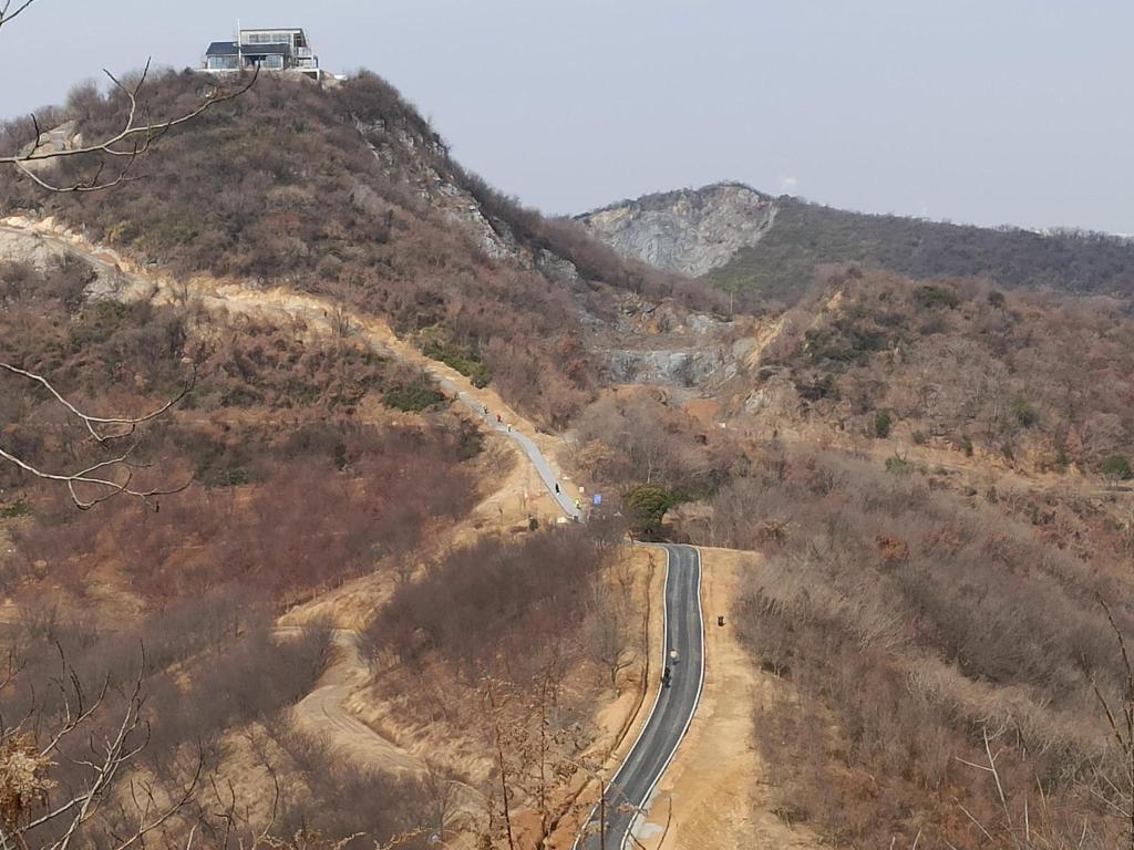 新春走基层·驻外记者回乡手记｜青山的见证