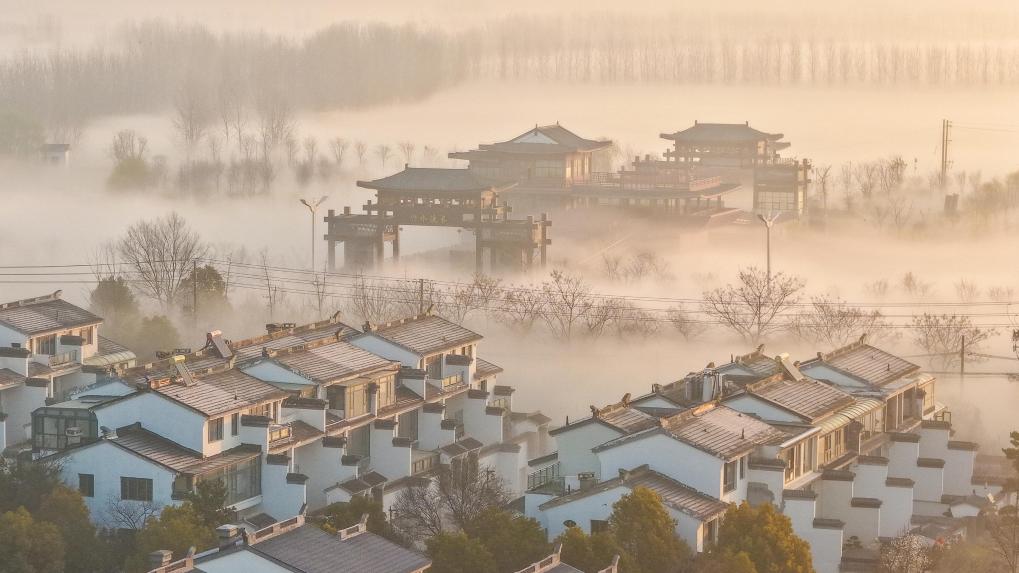 江苏泗洪：雾里水乡 如诗如画