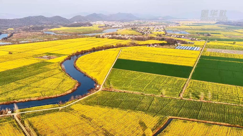 安徽东至：和美乡村 春景如画