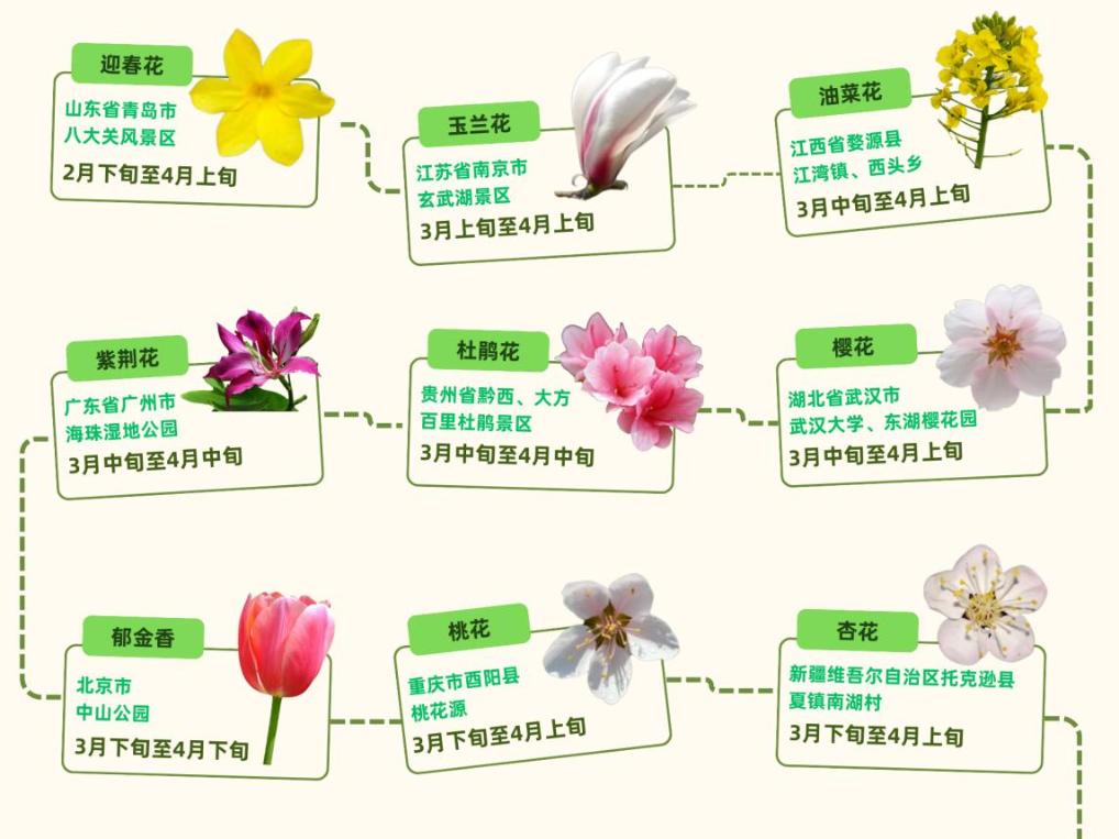 春日赏花地图上新，共赴一场春日之约