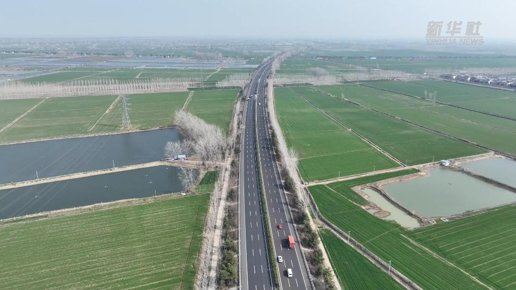 江苏淮安：春管正当时 田野织新绿