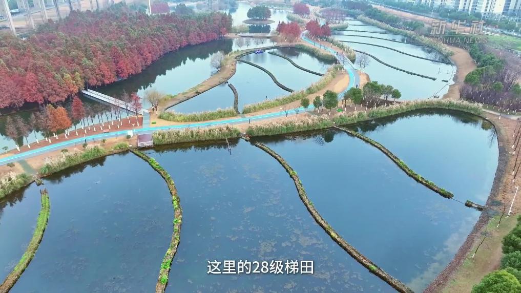 这座会“喝水”的公园有多神奇？