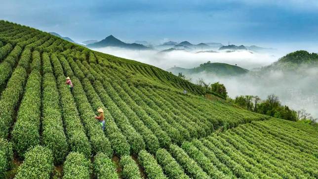 4de1cfb9b25bd6d0f54524e8ebe0227c