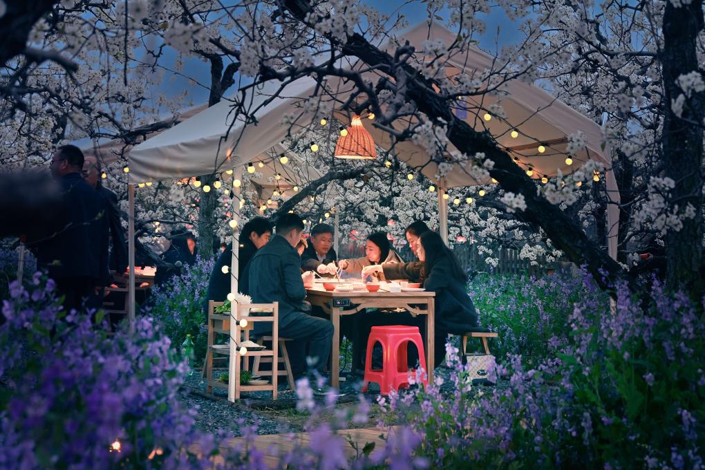 镜观中国·新华社国内新闻照片一周精选丨安徽砀山：梨花盛开点燃春日经济