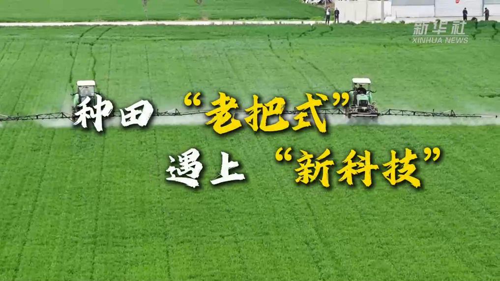 春耕一线观察｜种田“老把式”遇上“新科技”