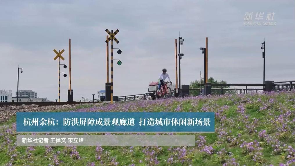 浙江杭州余杭：防洪屏障成景观廊道  打造城市休闲新场景