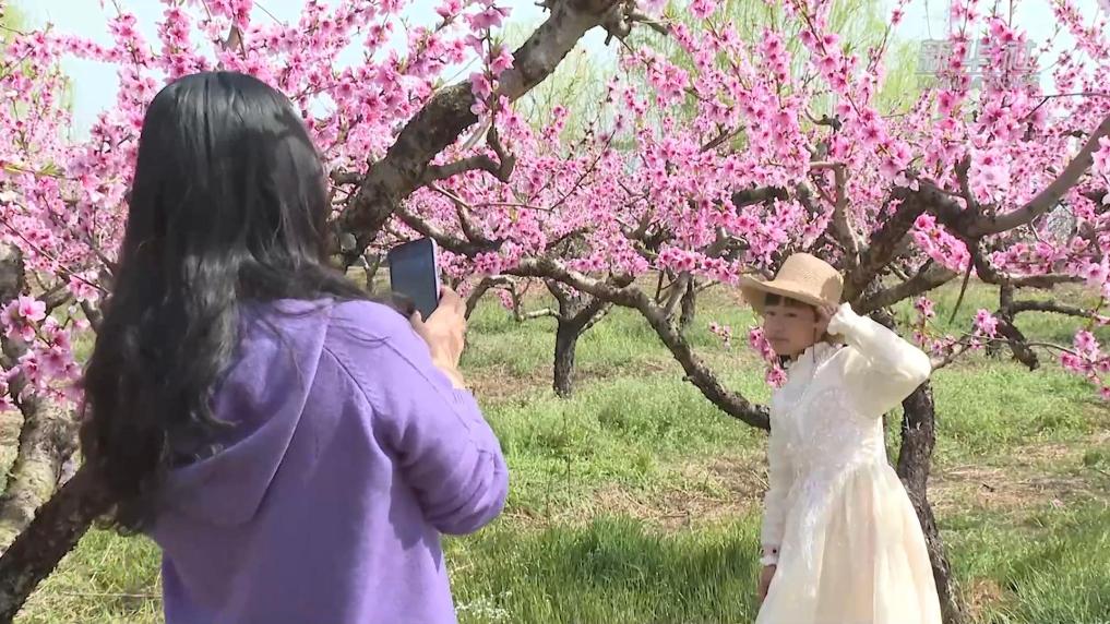 安徽：“春日经济”生机盎然