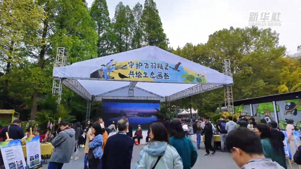 调查显示江苏越冬水鸟数量超52万只